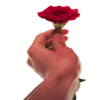 icona dare un' rosa mostrare sensazione png