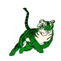 icon tiger king of jungle png