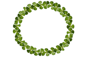 round circle frame of clover png