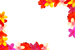 icon decoration flowers form shape pattern png