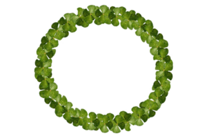 redondo circulo marco de trébol png