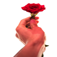 icon gave rose as gift png