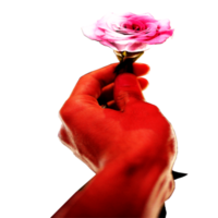 icona dare un' rosa mostrare sensazione png