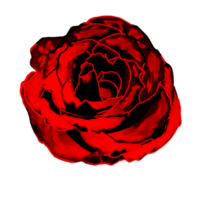 icono flor rosas png