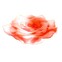 icône fleur des roses png
