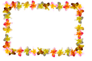 ícone decoração flores Formato forma padronizar png