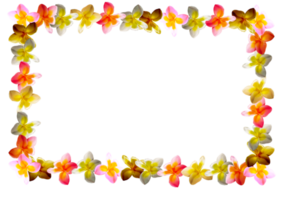 icoon decoratie bloemen het formulier vorm patroon png