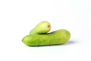 Small mini fresh green cucumber photo