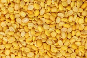 yellow moong mung dal lentil pulse bean photo