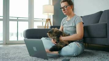 casualmente vestido mulher com óculos senta em uma tapete com uma computador portátil, detém em dela joelhos e golpes uma fofo gato e trabalho dentro uma acolhedor sala. controlo remoto trabalhos lado de fora a escritório video