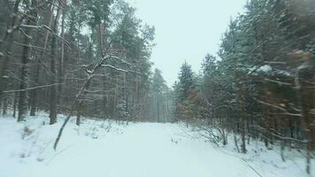 Aerial view on road in the winter snow fores. Scenic winter landscape video