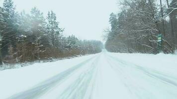 antenne visie Aan weg in de winter sneeuw voor. toneel- winter landschap video