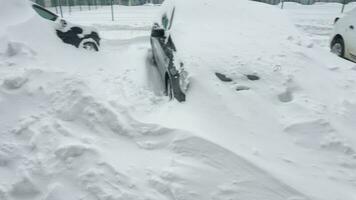 carros cubierto por nieve después un nieve tormenta de nieve. residencial edificio en el antecedentes video