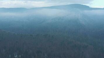 Flying over a fabulous winter forest, the trees are covered with frost, the fog swirls over the mountains video