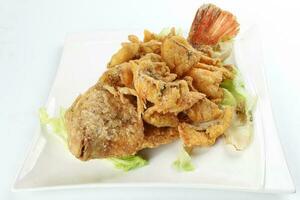 Deep fried freshwater red whole tilapia fish sliced fillet photo