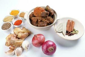 Beef bhuna dry curry with potato in ceramic bowl ingredients chilli cumin coriander turmeric powered salt onion garlic ginger bay leaf cinnamon cardamom clove over white background photo