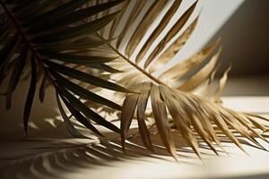 Beige background of palm foliage with shadow illustration. photo