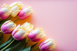 Bunch of pink and yellow tulips on pink and yellow background. photo