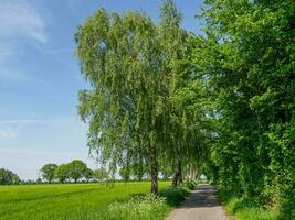 primavera hora en Alemania foto