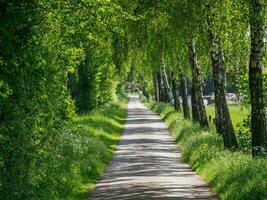 primavera hora en Alemania foto