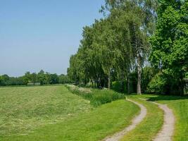 spring time in germany photo