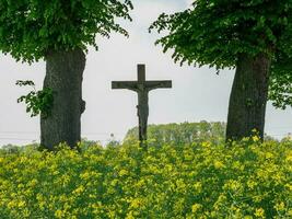 spring time in germany photo