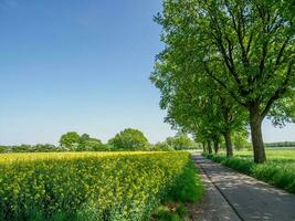 primavera hora en Alemania foto