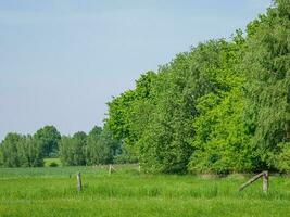 spring time in germany photo