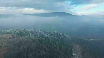 vôo sobre uma fabuloso inverno floresta, a árvores estão coberto com geada, a névoa redemoinhos sobre a montanhas video