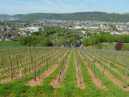 The old city of trier at the moselle river in germany photo