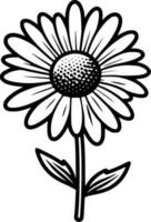 Daisy, Black and White Vector illustration