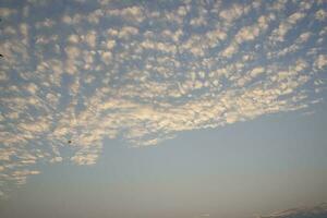 Evening altocumulus clouds Like a flock of mackerel and a flock of sheep floating in a beautiful sky in a rural area in Thailand, when the sun has set, it is a panoramic view of warmth, romance, peace photo