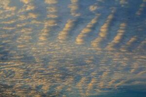 Evening altocumulus clouds Like a flock of mackerel and a flock of sheep floating in a beautiful sky in a rural area in Thailand, when the sun has set, it is a panoramic view of warmth, romance, peace photo