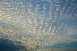 Evening altocumulus clouds Like a flock of mackerel and a flock of sheep floating in a beautiful sky in a rural area in Thailand, when the sun has set, it is a panoramic view of warmth, romance, peace photo