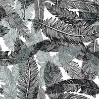 Seamless pattern of feathers .Vector illustration of tribal style. vector