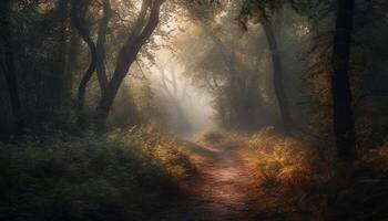 Mysterious autumn forest, foggy dawn, spooky beauty generated by AI photo