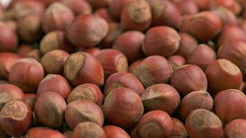 looped spinning hazelnuts with the shell close-up full frame background video