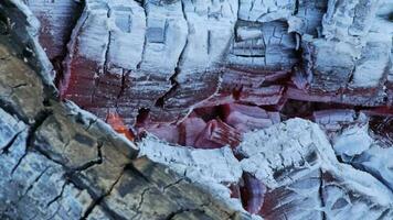 Firewood and coals are burning in the garden. Background flame close-up. video