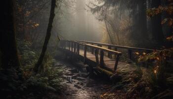 Tranquil scene of autumn forest in fog generated by AI photo