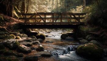 Tranquil scene of autumn forest and flowing water generated by AI photo