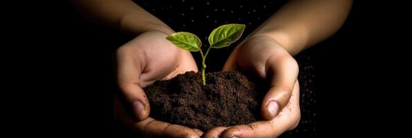 Hands holding green seedling, sprout over soil Illustration photo