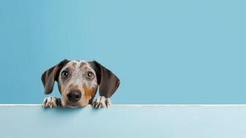 vacío espacio antecedentes con perro. ilustración ai generativo foto