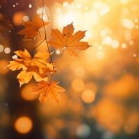 Orange leaves fall background. Illustration photo