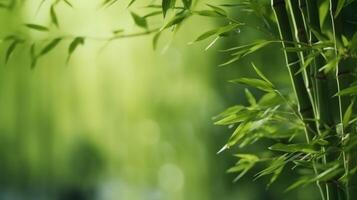 verde natural antecedentes con bambú. ilustración ai generativo foto