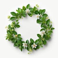 Green natural wreath on white. Illustration photo