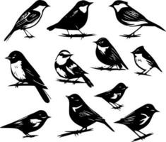 aves, minimalista y sencillo silueta - vector ilustración