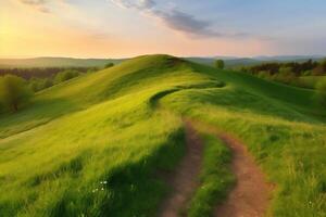 A picturesque winding path through a field with green grass. illustration. photo