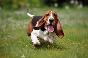 afloramiento sabueso perro corriendo y saltando en el verde césped ai generado foto