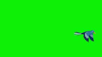 2d vogel vliegend kader door kader animatie 4k scherm groen video