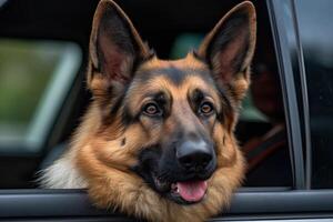 alemán pastor perro en un coche. selectivo atención en el perro, un alemán pastor perro mirando fuera de un coche ventana, ai generado foto